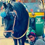 CHANDNI CHOWK