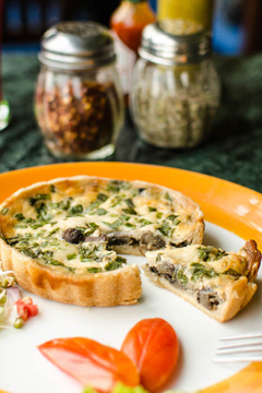 CAFE TURTLE